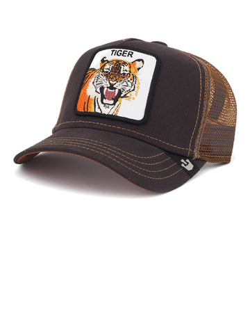 gorra garçon little tiger