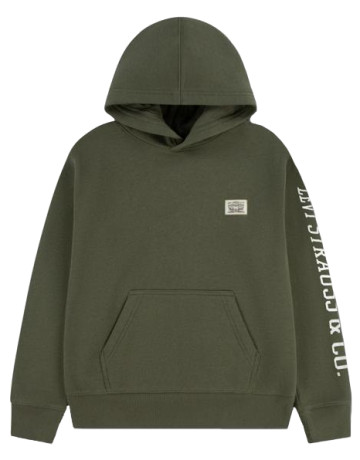 sweat-shirt garçon  levi's lvb sleeve hit hoodie