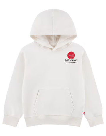 sweat-shirt garçon  levi's lvb skate legend hoodie