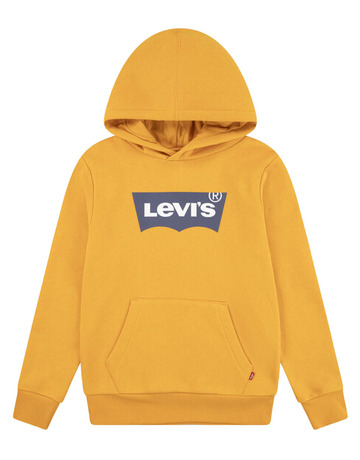 sweat-shirt garçon  levi's junior lvb-batwing screenprint hoodie