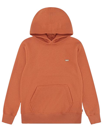 Ajouter au chariot sweat-shirt garçon  levi's lvb mini batwing pull over hoo sweat-shirt garçon  levi's lvb mini batwing pull over hoo