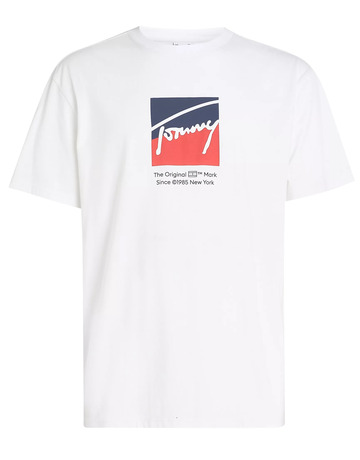 homme tjm reg rwb dna tee ybr