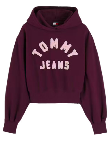 sweat-shirt femme  tommy hilfiger tjw ovs sh tommy arch hoodie