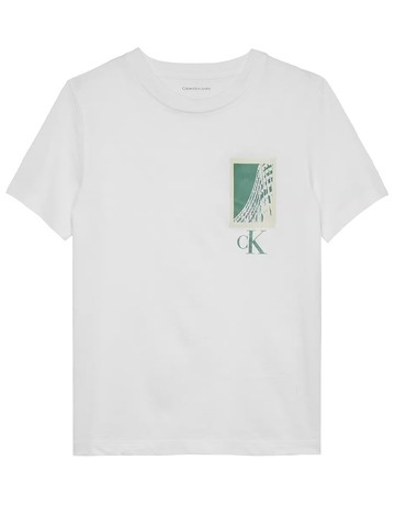 t-shirt garçon  calvin klein seasonal logo ss t-shirt