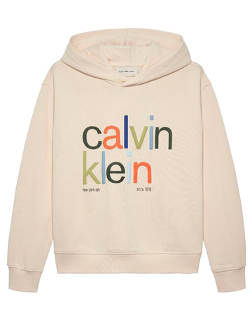 sweat-shirt garçon  calvin klein color logo graphic terry hoodi