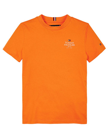 t-shirt garçon  th th logo puff print reg tee ss