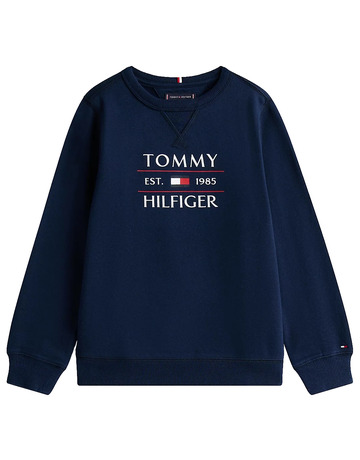 Ajouter au chariot garçon tommy flag hilfiger sweatshirt c1g garçon tommy flag hilfiger sweatshirt c1g