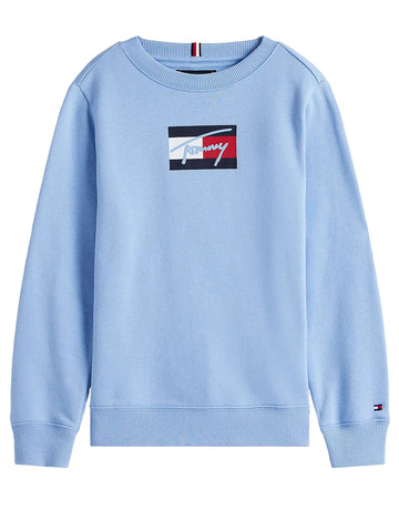 garçon tommy script flag sweatshirt c14