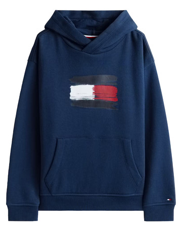 garçon flag hoodie c1g