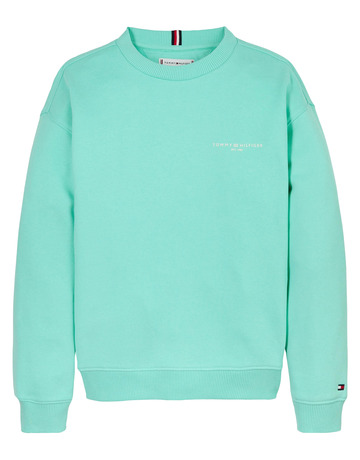 unisex mini corp c-neck sweatshirt l6z