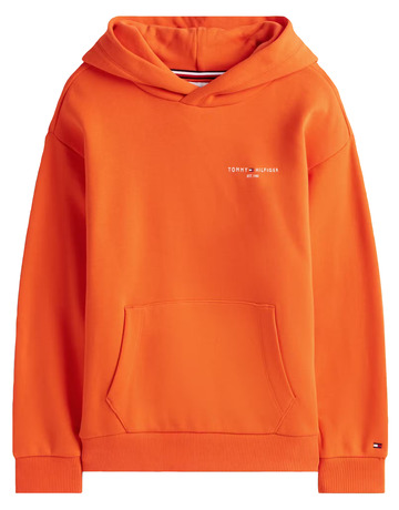 unisex mini corp hoodie xm2