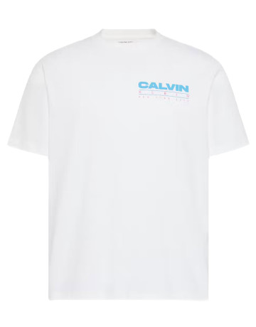 t-shirt homme  calvin klein m ss 20s calvin disc stack gra