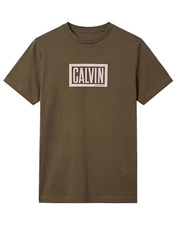 t-shirt homme  calvin klein m ss 30s eu boxed calvin graph
