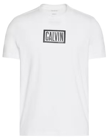 t-shirt homme  calvin klein m ss 30s eu boxed calvin graph