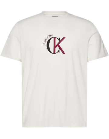 t-shirt homme  calvin klein m ss 30s whsl ckj 2tone ck gra