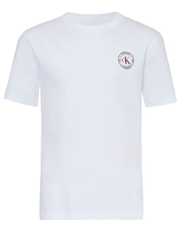 t-shirt garçon  calvin klein b ck small chest circle ss t-s