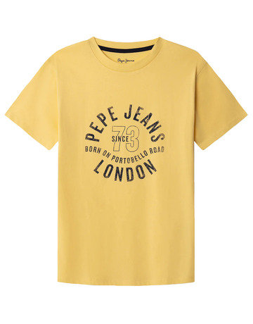 t-shirt garçon  pepe jeans newman