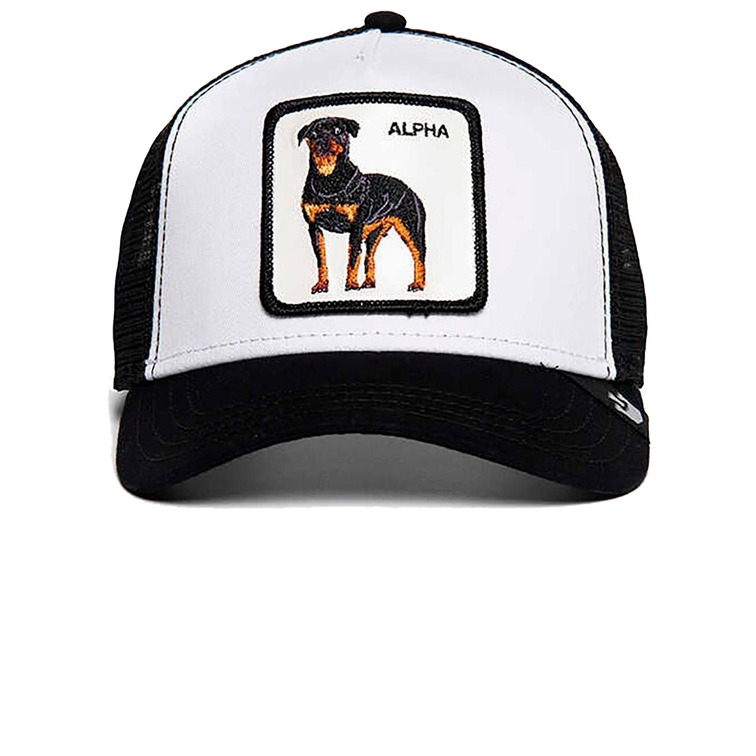 homme alpha dog whi