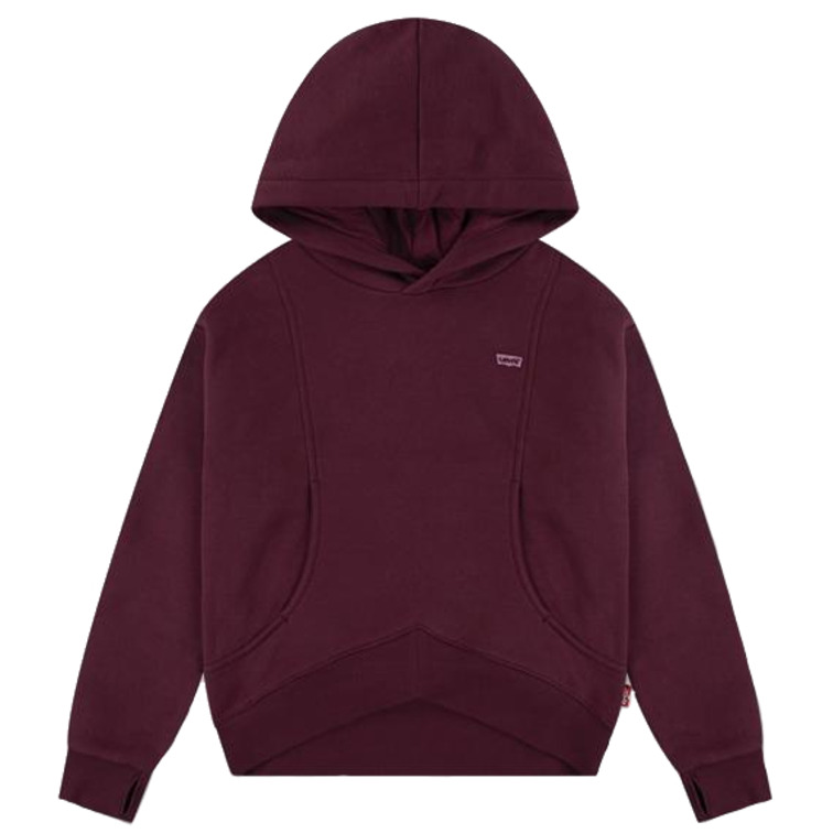 sweat-shirt fille  levi's lvg batwing patch hoodie