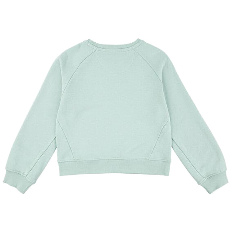 sweat-shirt fille  levi's lvg levis hd silicone batwing