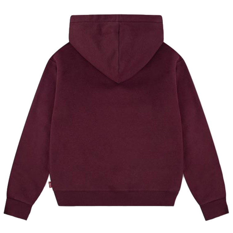 sweat-shirt fille  levi's lvg batwing patch hoodie