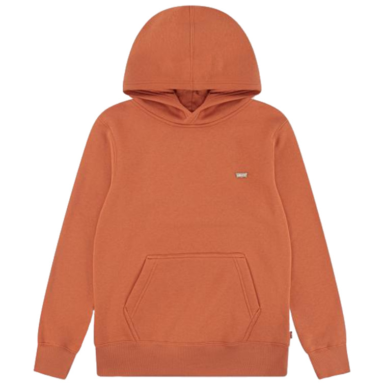 sweat-shirt garçon  levi's lvb mini batwing pull over hoo
