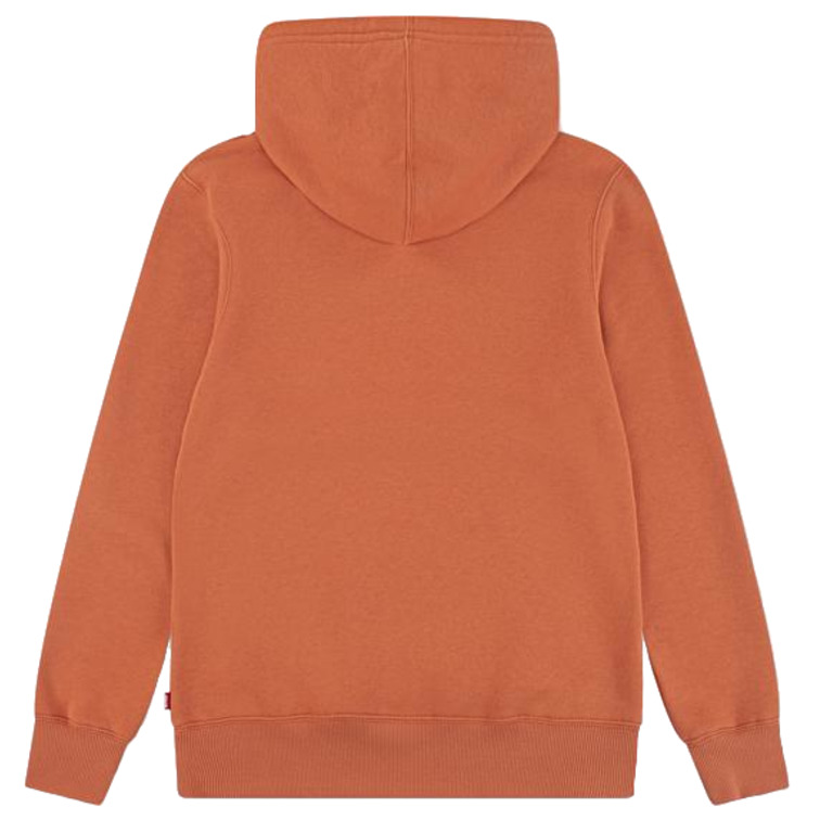 sweat-shirt garçon  levi's lvb mini batwing pull over hoo
