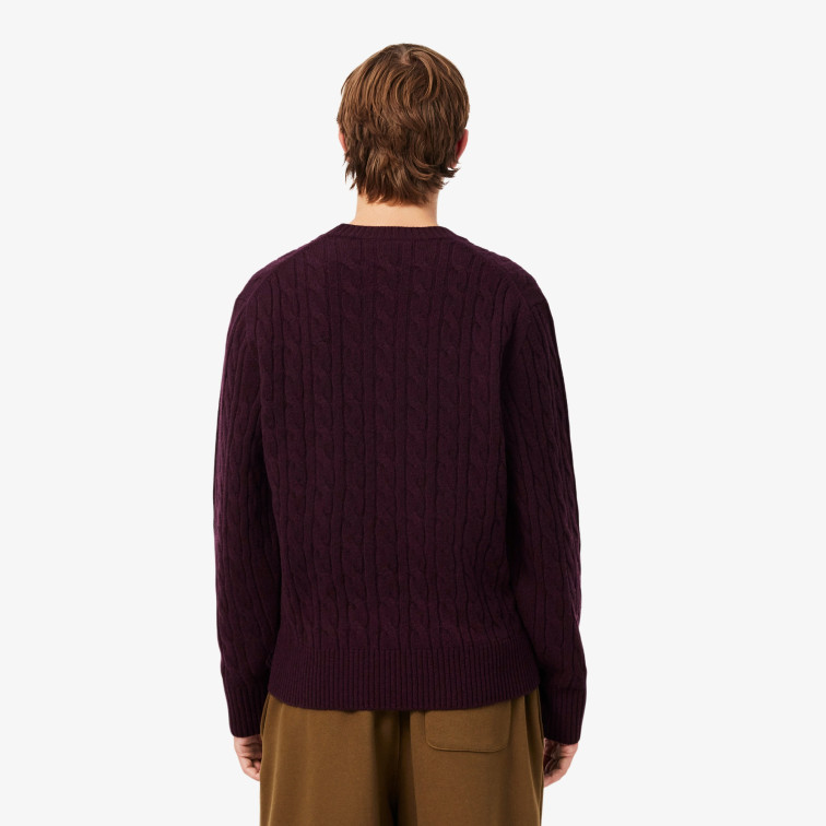 maillot homme  lacoste pulls