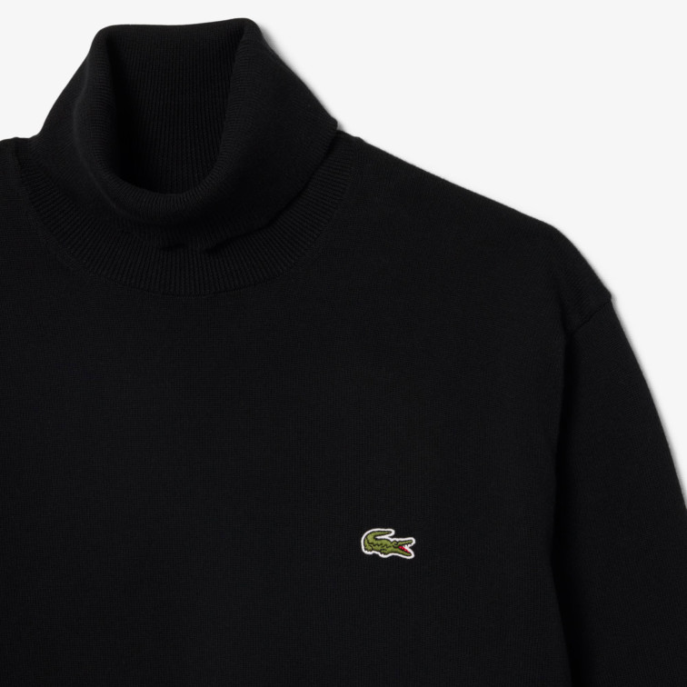 homme pulls 031