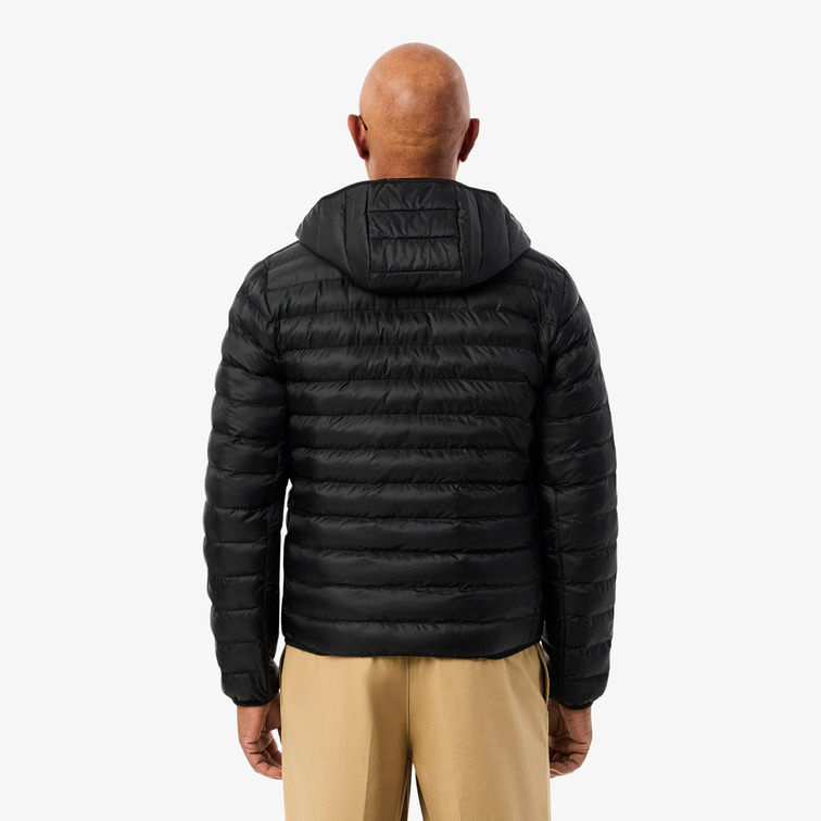cazadora homme  lacoste blouson