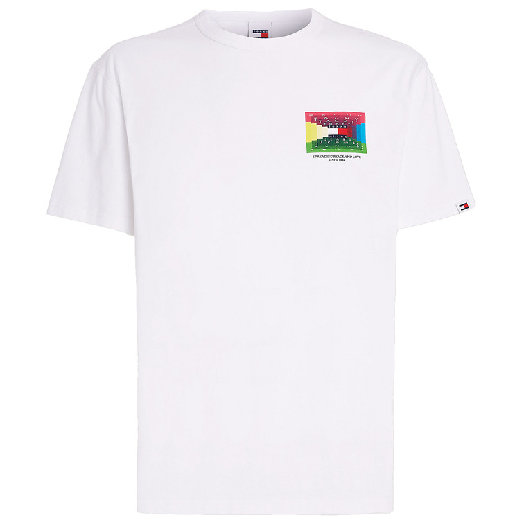 t-shirt homme  th tjm reg dna graphic tee