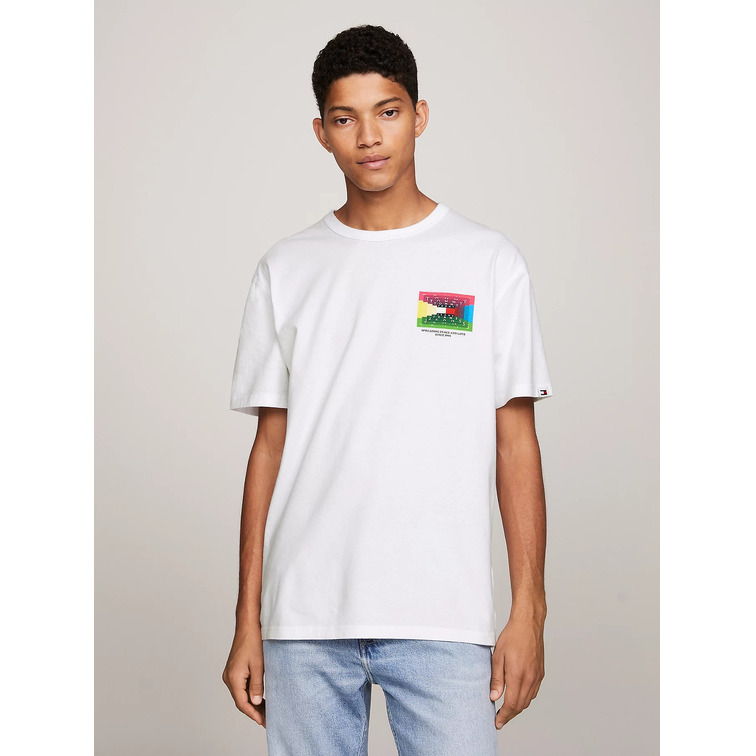 t-shirt homme  th tjm reg dna graphic tee