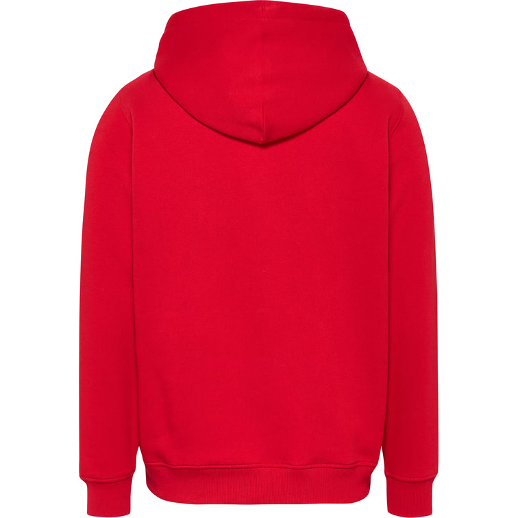 homme tjm reg linear logo hoodie ext xme