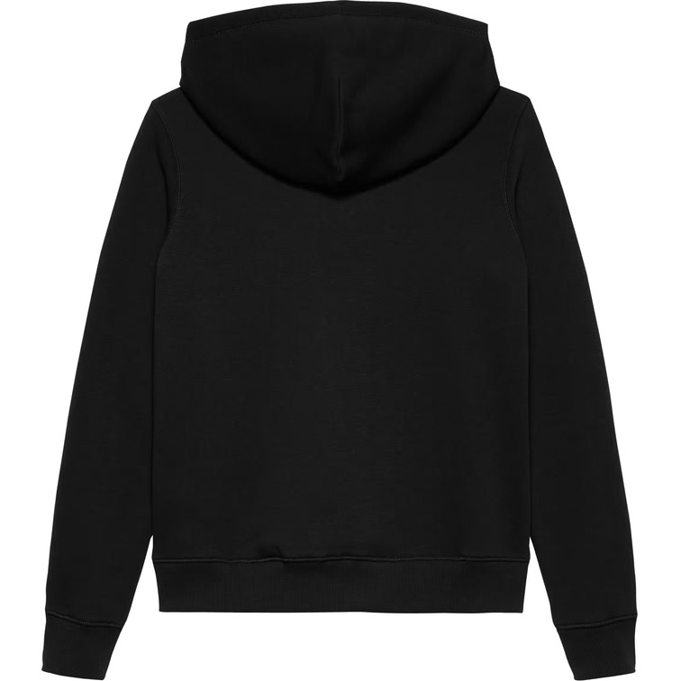 femme tjw reg linear hoodie ext bds