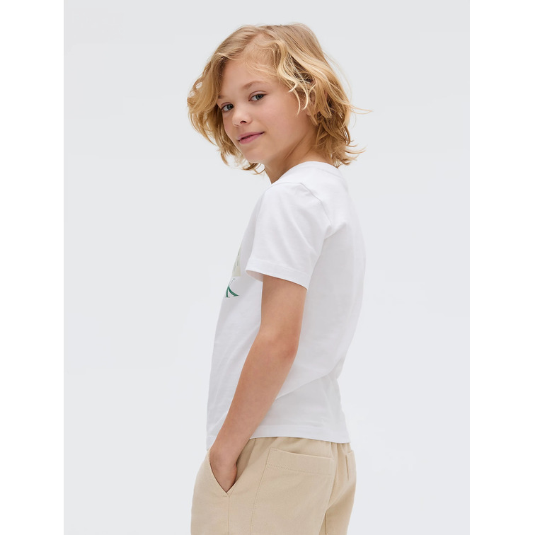 t-shirt garçon  calvin klein seasonal logo ss t-shirt