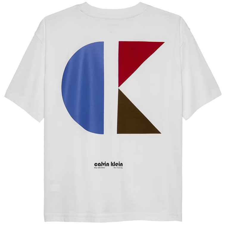 t-shirt garçon  calvin klein geo ck backprint relaxed tee