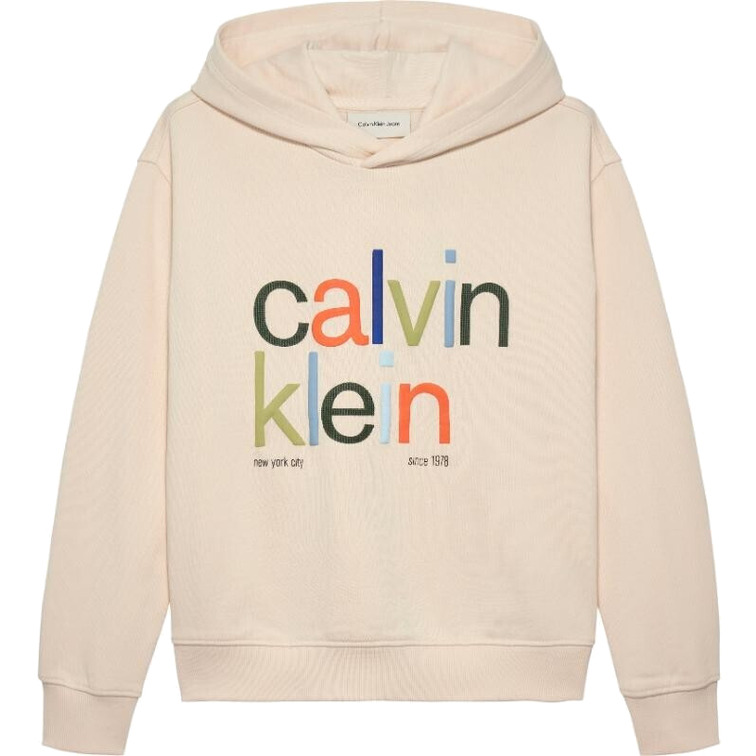 sweat-shirt garçon  calvin klein color logo graphic terry hoodi