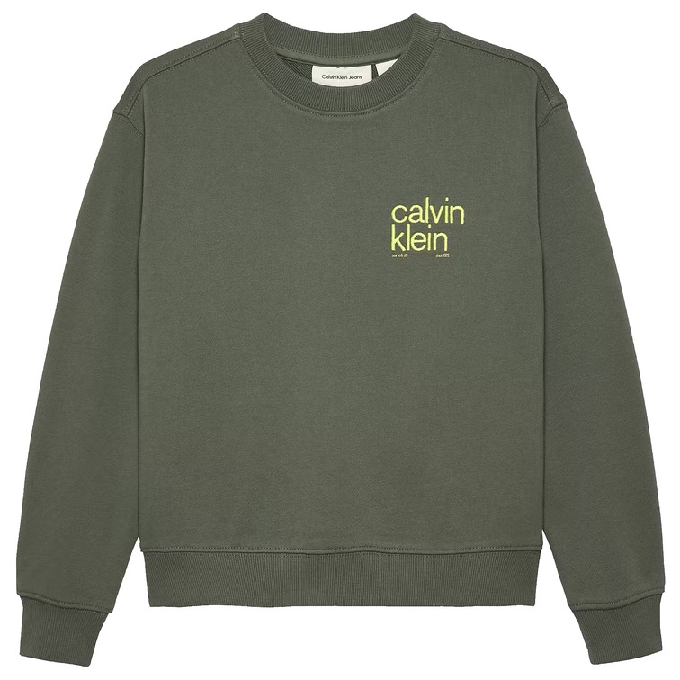sweat-shirt garçon  calvin klein relaxed back print cn sweatshi