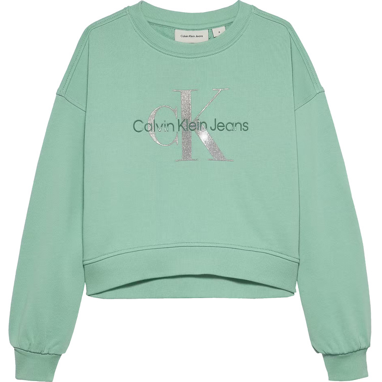 fille glitter singelogo cn sweatshirt l40