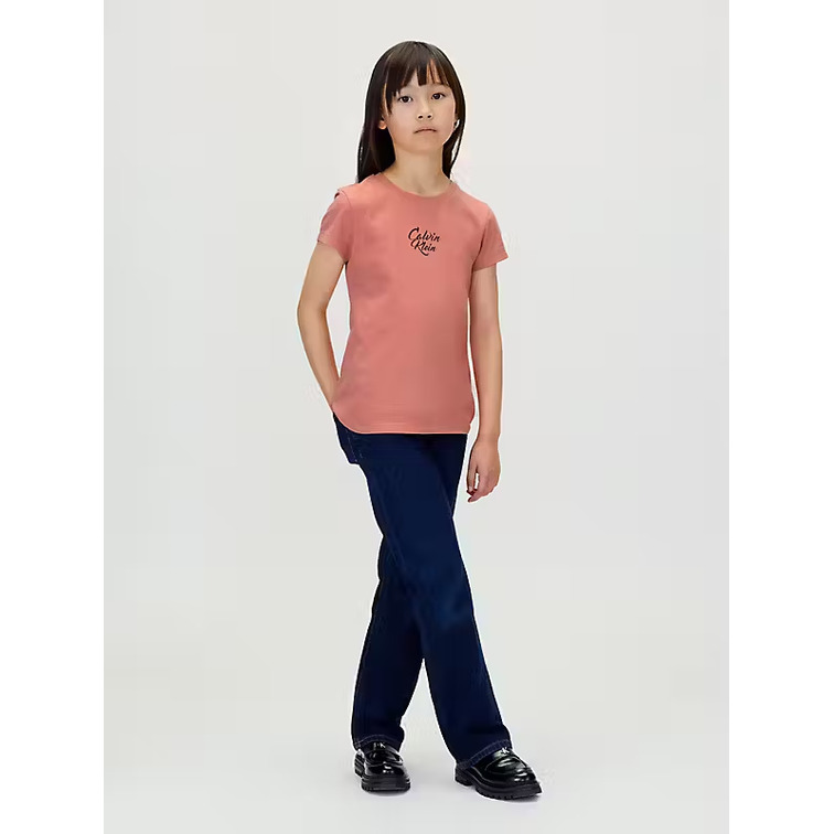 t-shirt fille  calvin klein script logo graphic ss t-shirt