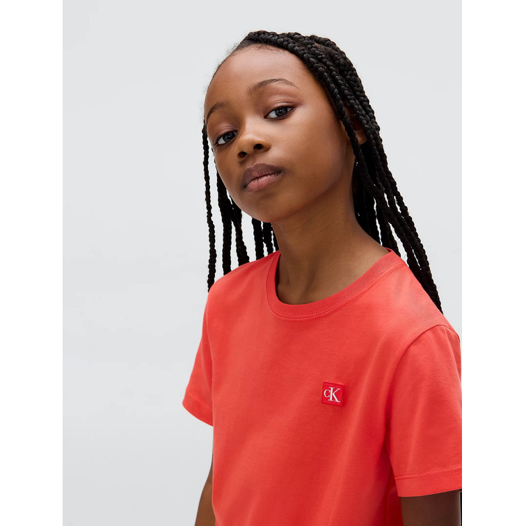 unisex singegram mini badge t-shirt soh