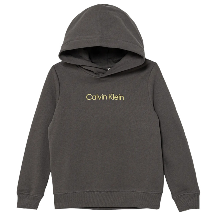 sweat-shirt   calvin klein inst. logo reg. terry hoodie