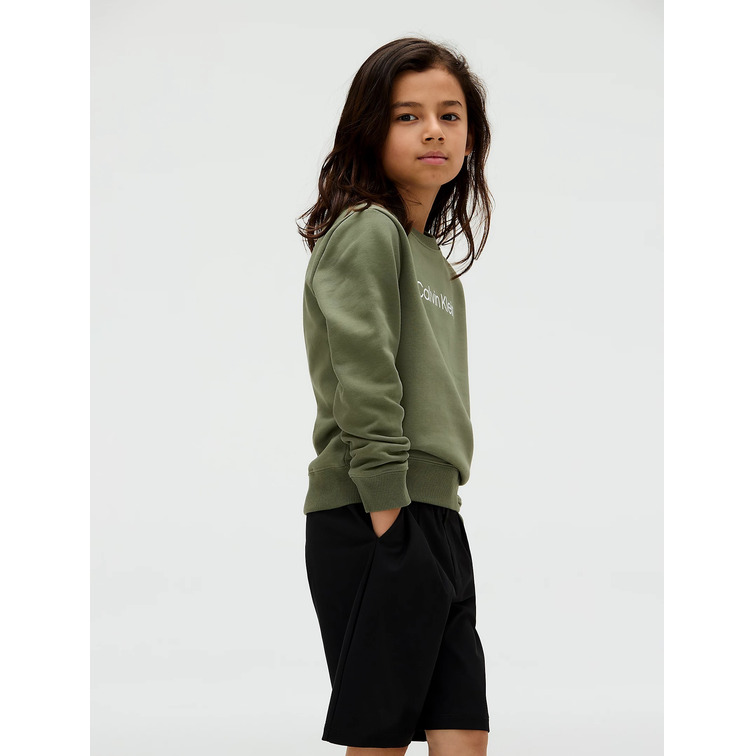 sweat-shirt   calvin klein inst. logo regular cn