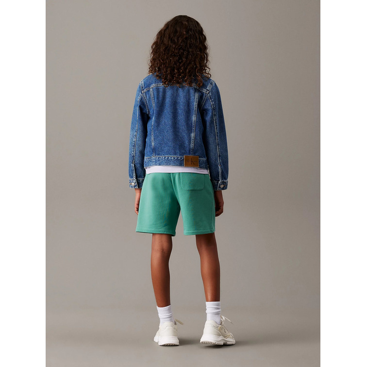 le short   calvin klein new inst. logo shorts