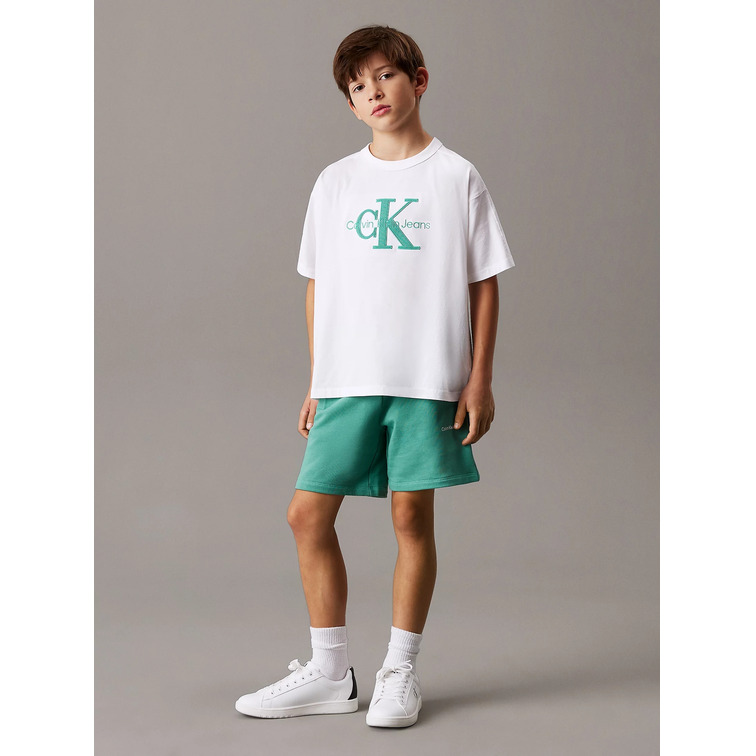 le short   calvin klein new inst. logo shorts