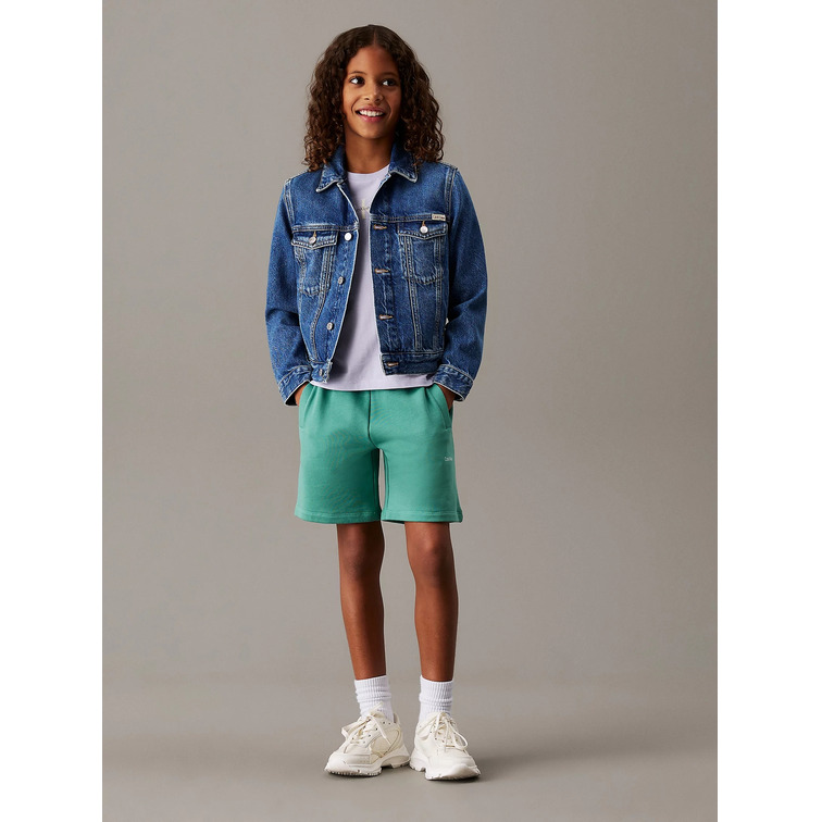 le short   calvin klein new inst. logo shorts