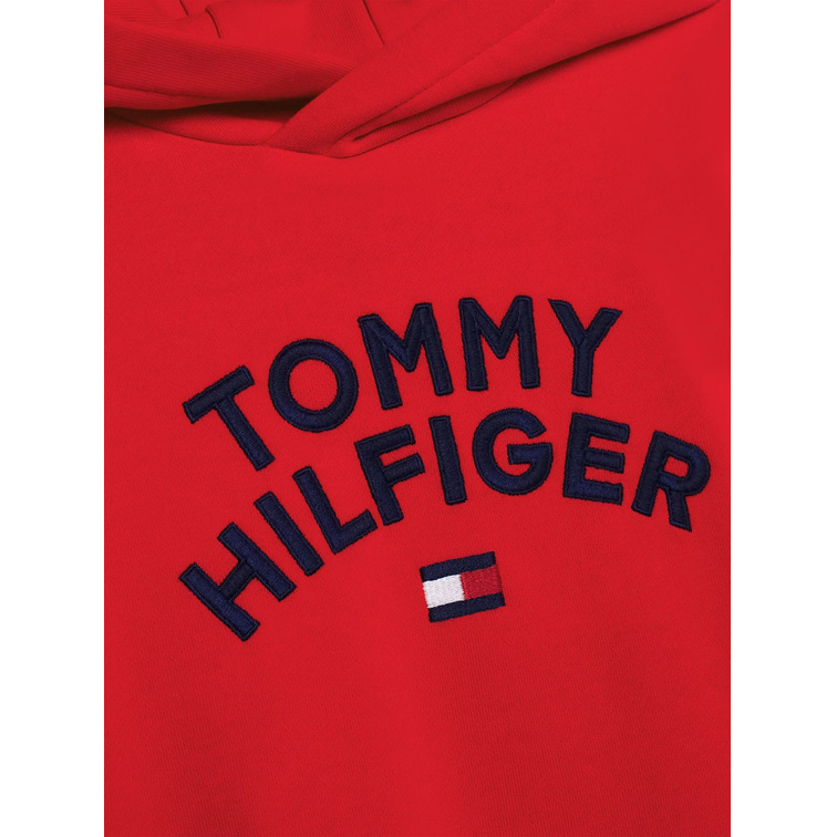 sweat-shirt garçon  th tommy hilfiger flag  hoodie