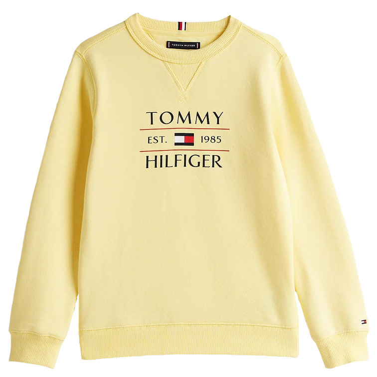 sweat-shirt garçon  tommy hilfiger tommy flag hilfiger sweatshirt