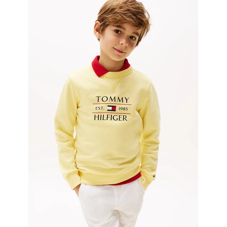sweat-shirt garçon  tommy hilfiger tommy flag hilfiger sweatshirt
