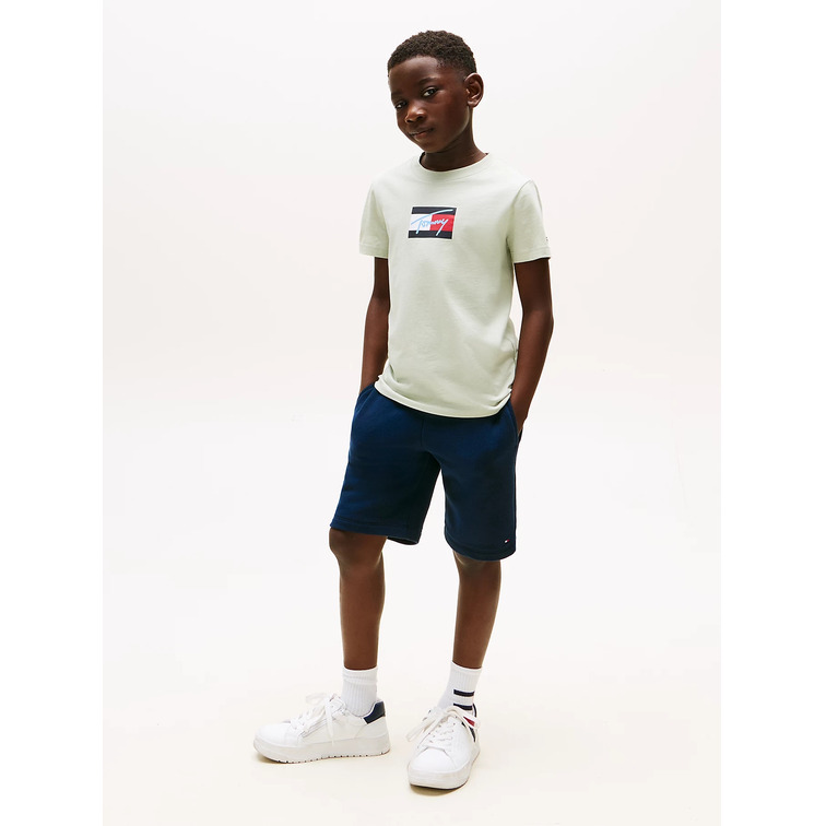 garçon tommy script flag print tee ss m1c